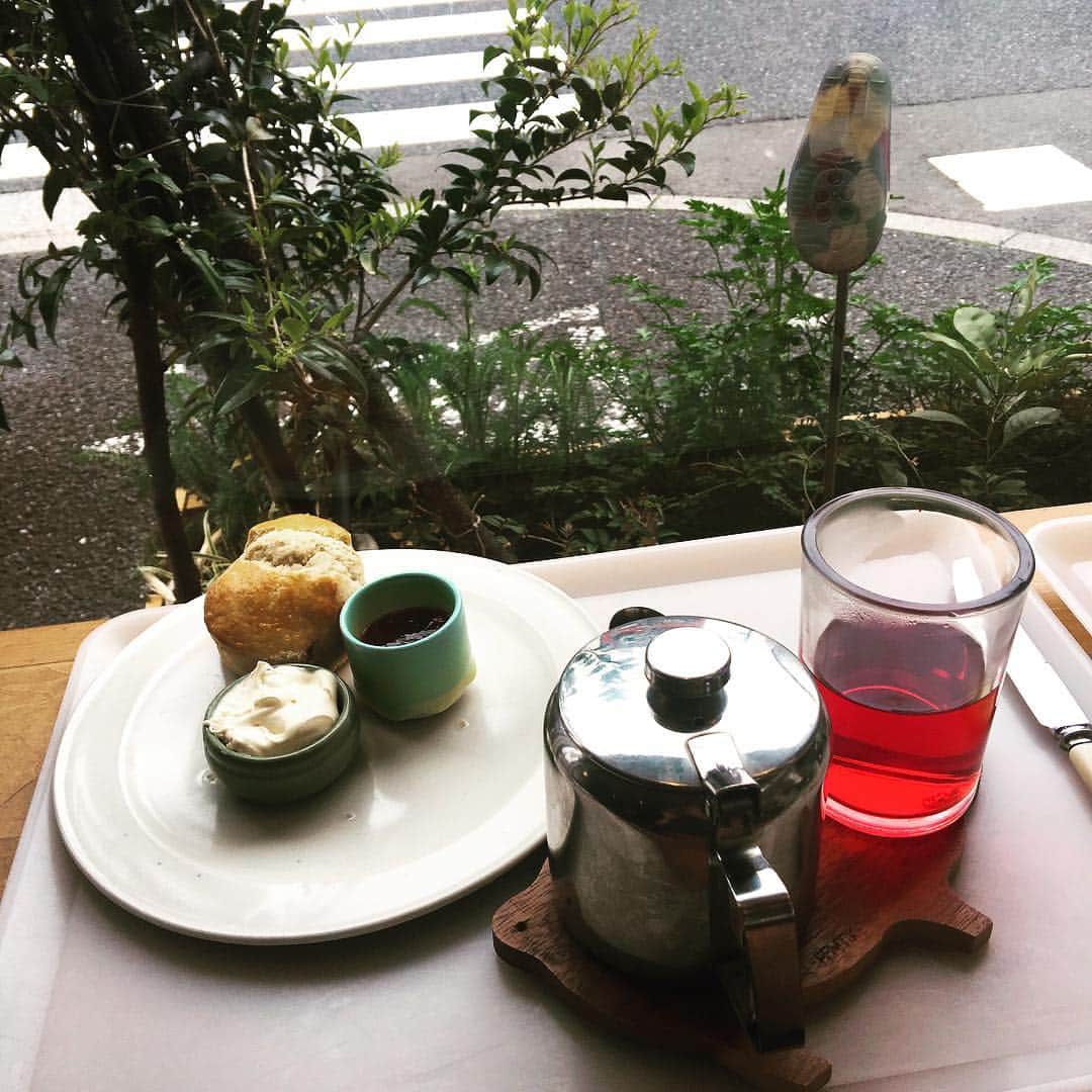 金巻ともこさんのインスタグラム写真 - (金巻ともこInstagram)「日本酒の前にスコーンで腹ごしらえ。おいしい！ #sundaybakeshop #サンデーベイクショップ」4月14日 20時59分 - tomotomoco