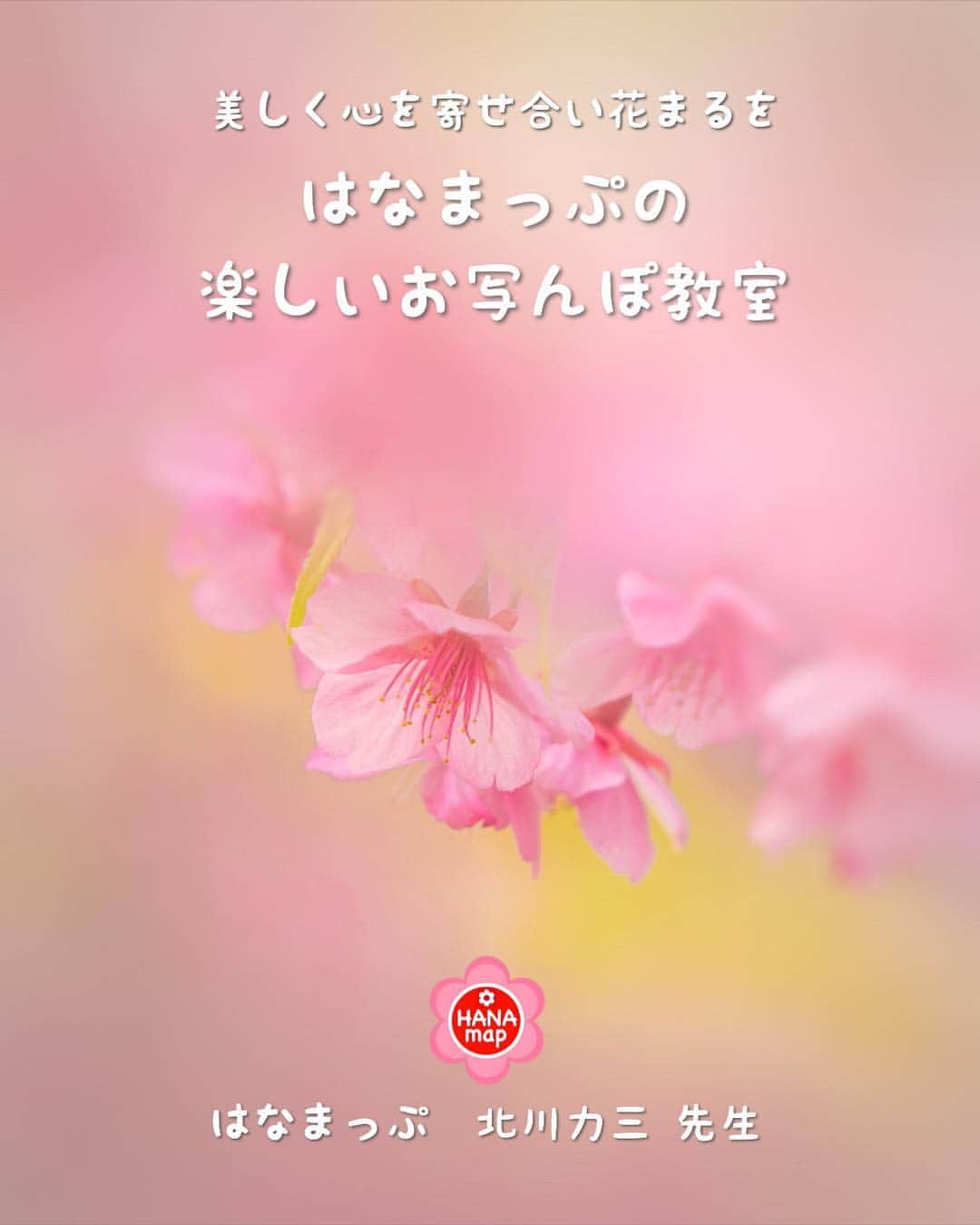はなまっぷ❁日本の花風景さんのインスタグラム写真 - (はなまっぷ❁日本の花風景Instagram)「美しく心を寄せ合い花まるを💮 はなまっぷの楽しいお写んぽ教室📷 * みなさんこんばんは😊 いつも素敵なお花をありがとうございます。 先日、新元号が発表されましたね。 花にまつわる「令和」という美しい元号に、とても感動し励まされました。新たな時代の幕開けとともに、これから更にみなさんと心を寄せ合い、新しい企画を試みながら色んな花をたくさん咲かせていきたいと思います。 * 🌸•••🌸•••🌸•••🌸•••🌸•••🌸•••🌸 * はなまっぷの楽しいお写んぽ教室📷 * 美しい花の写真や幻想的な風景写真を撮られる、写真家の北川力三先生をお招きして、写真教室を開催いたします。お花の撮り方をしっかり学びたい方はもちろん、カメラを始めて間もない初心者の方もお気軽にご参加ください。カメラの操作や専門用語が不安な方は私がサポートいたします😊みんなで楽しくお話ししながら花まる気分で撮影しましょう🌸✨ * 【講師】写真家 北川力三先生  @rikizo_kitagawa * 【場所】三重県  桑名市 なばなの里 * 【日時】2019年5月18日(土) 雨天決行  午前①10:00〜12:00（集合9:40）  午後②14:30〜16:30（集合14:10） * 【定員】①、② とも各20名前後 おひとり様大歓迎。 3名1組様までご応募可能です。 * 【参加費】おひとり様3,000円  別途入園料1,600円（1,000円分 金券付） が必要となります。 * 【応募期間】〜4/19(金)まで プロフィール欄のフォームよりご応募ください。応募者多数の場合は抽選とし、当選者の方のみDMにてご連絡いたします。DMでのご連絡をもって参加確定とさせていただきます。 * 第1回目の開催地は三重県とさせていただきましたが、2回目、3回目と計画していますので楽しみにしていて下さいね。また、ご希望の開催地域や開催場所等ございましたら今後の参考にさせていただきますので、こちらのコメント欄にぜひご記入頂ければ幸いです。 * 🌸•••🌸•••🌸•••🌸•••🌸•••🌸•••🌸 * #はなまっぷ #はなまっぷの楽しいお写んぽ教室」4月14日 21時02分 - hanamap