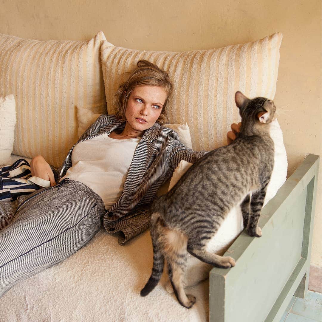 ベンシモンのインスタグラム：「14h, l'heure du câlin 🐱 🇬🇧2:00, time for cuddle 🐱 > Notre collection été est en ligne ☀️ #bensimon #cat #stripes #new #pe19 #newin #sundaymood」