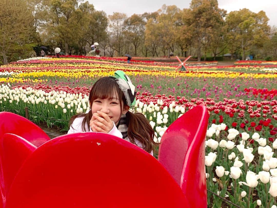 夏川愛実さんのインスタグラム写真 - (夏川愛実Instagram)「ㅤㅤㅤㅤㅤㅤㅤㅤㅤㅤㅤㅤㅤ ㅤㅤㅤㅤㅤㅤㅤㅤㅤㅤㅤㅤㅤ  チューリップ🌷🌷🌷 ㅤㅤㅤㅤㅤㅤㅤㅤㅤㅤㅤ ㅤㅤㅤㅤㅤㅤㅤㅤㅤㅤㅤ #木曽三川公園#チューリップ畑 ㅤㅤㅤㅤㅤㅤㅤㅤㅤㅤㅤ」4月14日 21時15分 - ami_natsukawa