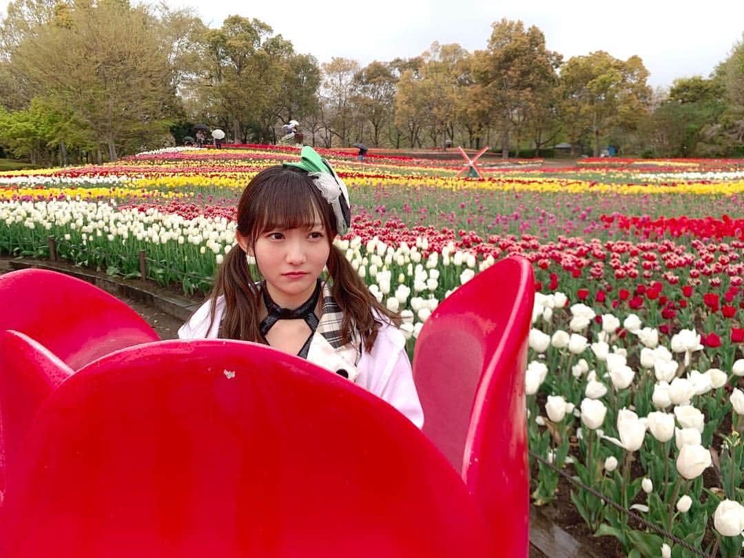夏川愛実のインスタグラム：「ㅤㅤㅤㅤㅤㅤㅤㅤㅤㅤㅤㅤㅤ ㅤㅤㅤㅤㅤㅤㅤㅤㅤㅤㅤㅤㅤ  チューリップ🌷🌷🌷 ㅤㅤㅤㅤㅤㅤㅤㅤㅤㅤㅤ ㅤㅤㅤㅤㅤㅤㅤㅤㅤㅤㅤ #木曽三川公園#チューリップ畑 ㅤㅤㅤㅤㅤㅤㅤㅤㅤㅤㅤ」