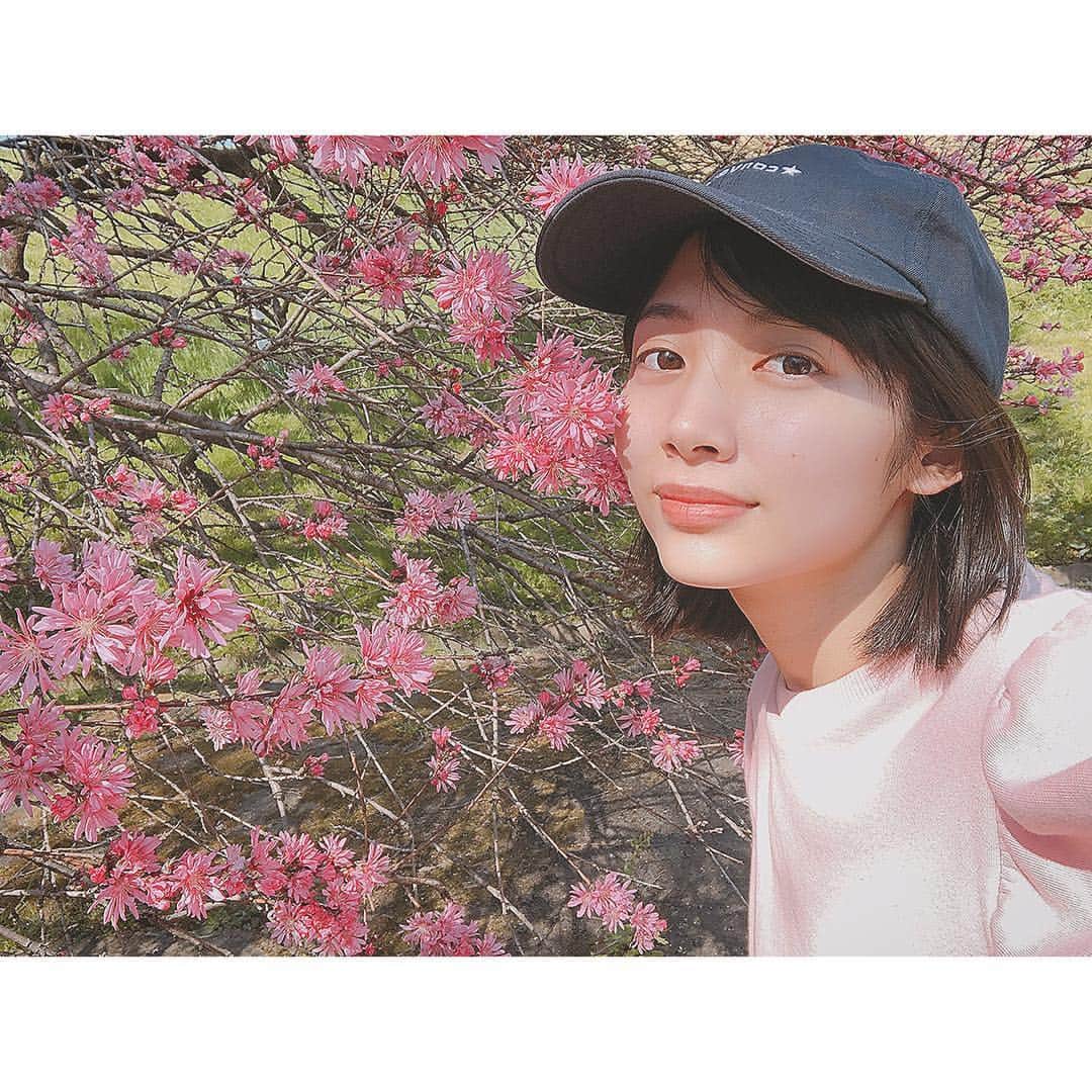 伊藤梨沙子さんのインスタグラム写真 - (伊藤梨沙子Instagram)「桜のとなりにピンクのお花 桜って花弁は白いのに、ピンク色のイメージがありますよね🌸」4月14日 21時08分 - ito_risako