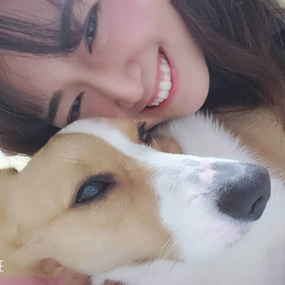 矢田優季さんのインスタグラム写真 - (矢田優季Instagram)「すずちゃん(♡˙︶˙♡) ずいぶん甘えんぼになっていました💓 . 寝ちゃった笑 まだまだ赤ちゃんだな～♥️ . . #群馬テレビ #GTV #アナウンサー #愛犬家 #コーギー #わんこ #犬 #大好き #帰省中 #天使 #こぎすたぐらむ #いぬすたぐらむ . #dog #corgi  #love #cute」4月14日 21時21分 - yuki.ccs_0424