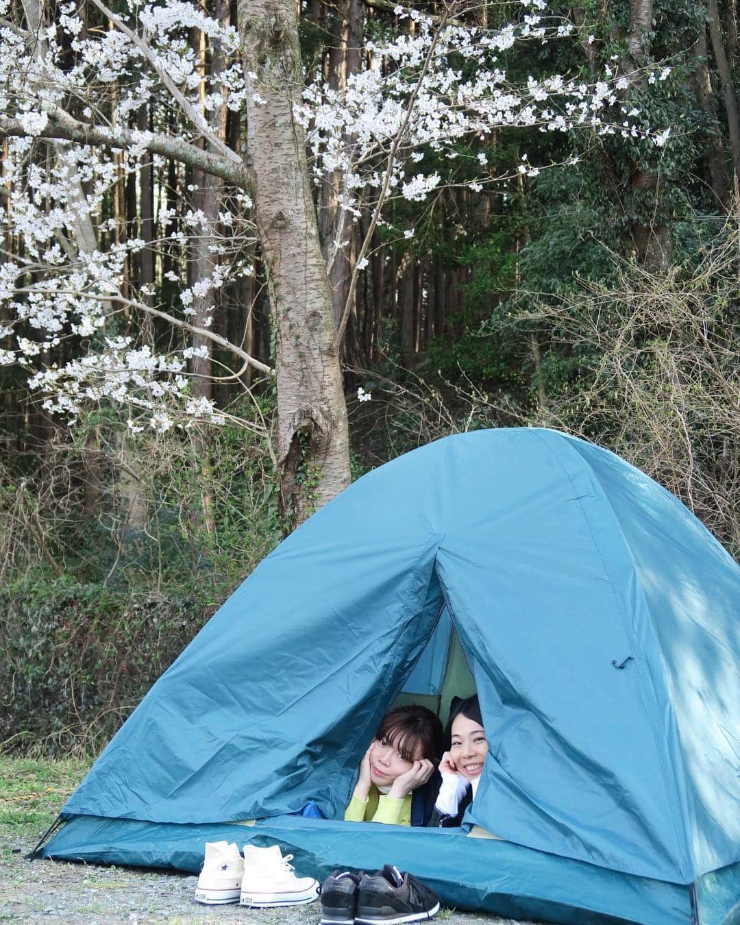 ヨーコのグルメインスタ