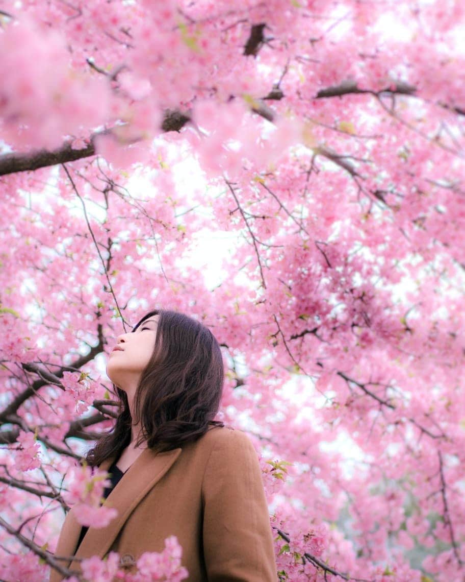 りょーたのインスタグラム：「🌸👩🌸 Tokyo/Japan ・ 編集迷走中😵 ・ ・ @team_jp では【春色】チャレンジ開催中🌸 ・ 春を感じさせるお写真にタグを付けてご参加下さい🙏 ・ ・ 〈参加タグ〉#team_jp_春色2019 〈期間〉～4/18(木)22:00まで ・ ・ 素敵な春色をお待ちしております🌸🌸」