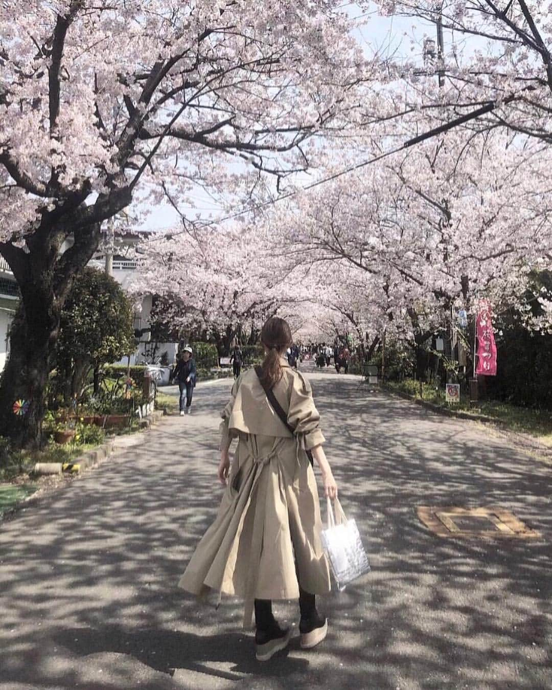 石元歩唯さんのインスタグラム写真 - (石元歩唯Instagram)「day off  楽しみにしていた公園でお花見 🍱🌸 お花見日和でのんびり過ごせて癒された🌞  coat,knit @amel_official__ pants @uniqlo bag @dior shoes @stellamccartney  #tokushima #sakura #cherryblossom」4月14日 21時31分 - 518aichi