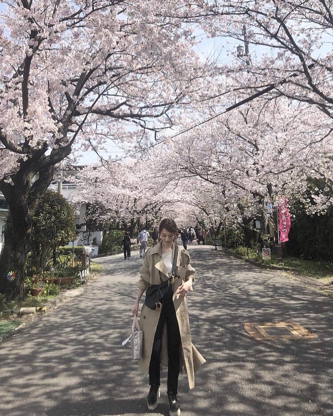 石元歩唯さんのインスタグラム写真 - (石元歩唯Instagram)「day off  楽しみにしていた公園でお花見 🍱🌸 お花見日和でのんびり過ごせて癒された🌞  coat,knit @amel_official__ pants @uniqlo bag @dior shoes @stellamccartney  #tokushima #sakura #cherryblossom」4月14日 21時31分 - 518aichi