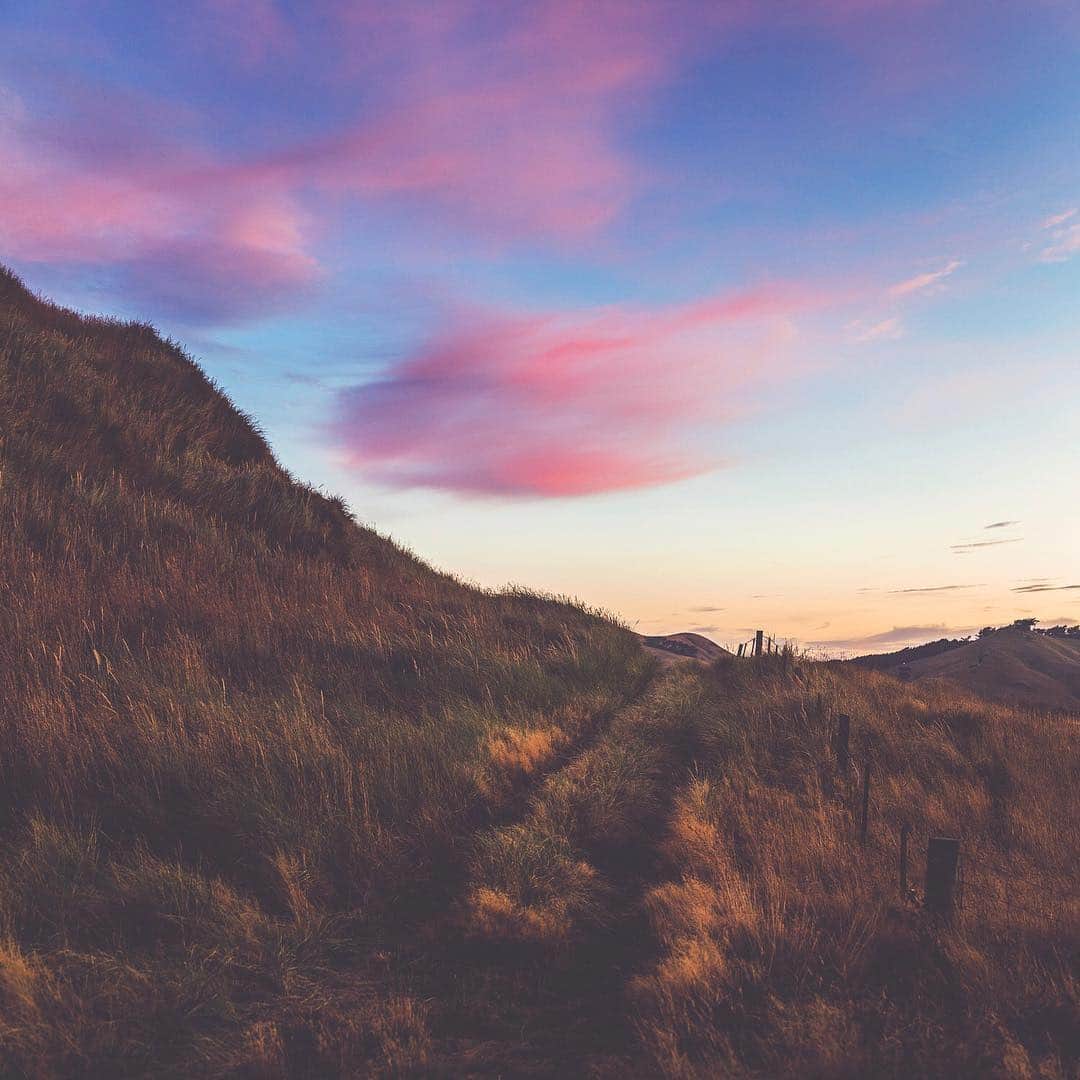 Holly Sissonのインスタグラム：「Path to the sheep!  #newzealand #sunrise #whpvibes ~ Canon 5D MkIV + 24–70 f2.8L II @ 39mm f2.8 (See my bio for full camera equipment information plus info on how I process my images. 😊) ~ #pickmotion」