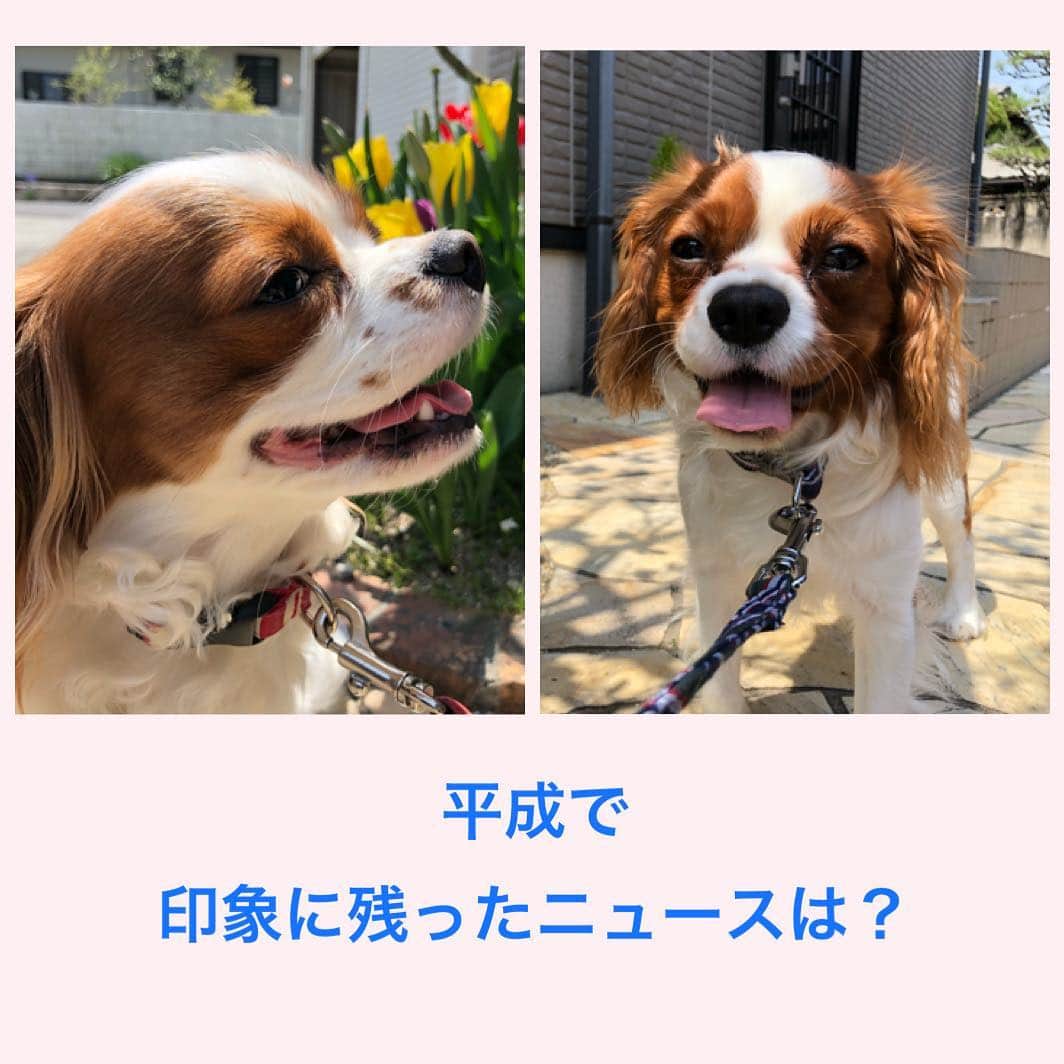 唐川美音のインスタグラム