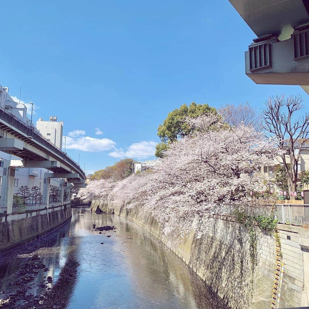 Woman.CHINTAIさんのインスタグラム写真 - (Woman.CHINTAIInstagram)「#江戸川橋駅 （#Edogawabashi  station in #Tokyo )  出版・印刷系の企業も多く神楽坂にも近い落ち着いた街！ #椿山荘 の最寄りでもあるので 桜や紅葉の時期、結婚式でも訪れることのある江戸川橋は、女性に例えると、クラシカルな色合いが知的な女性🙋💛 ・ ・ @woman.chintai では江戸川橋駅周辺のお部屋も診断形式であなたにあったお部屋を探せる😘🏡 「Woman.CHINTAI」もしくは、「ウーマンチンタイ」で検索🔍 プロフィールのURLからもすぐに理想のお部屋が探せちゃいます✨ ・ Illustrated by @nodeko_ ・ ・ #WomanCHINTAI#部屋探し#CHINTAI #女性にオススメ #擬人化 #賃貸 #街 #1人暮らし #おしゃれ#女子#ファッションイラスト#fashionillutration#tokyofashion#ootd#ファッション#コーデ#今日のコーデ」4月14日 21時44分 - woman.chintai