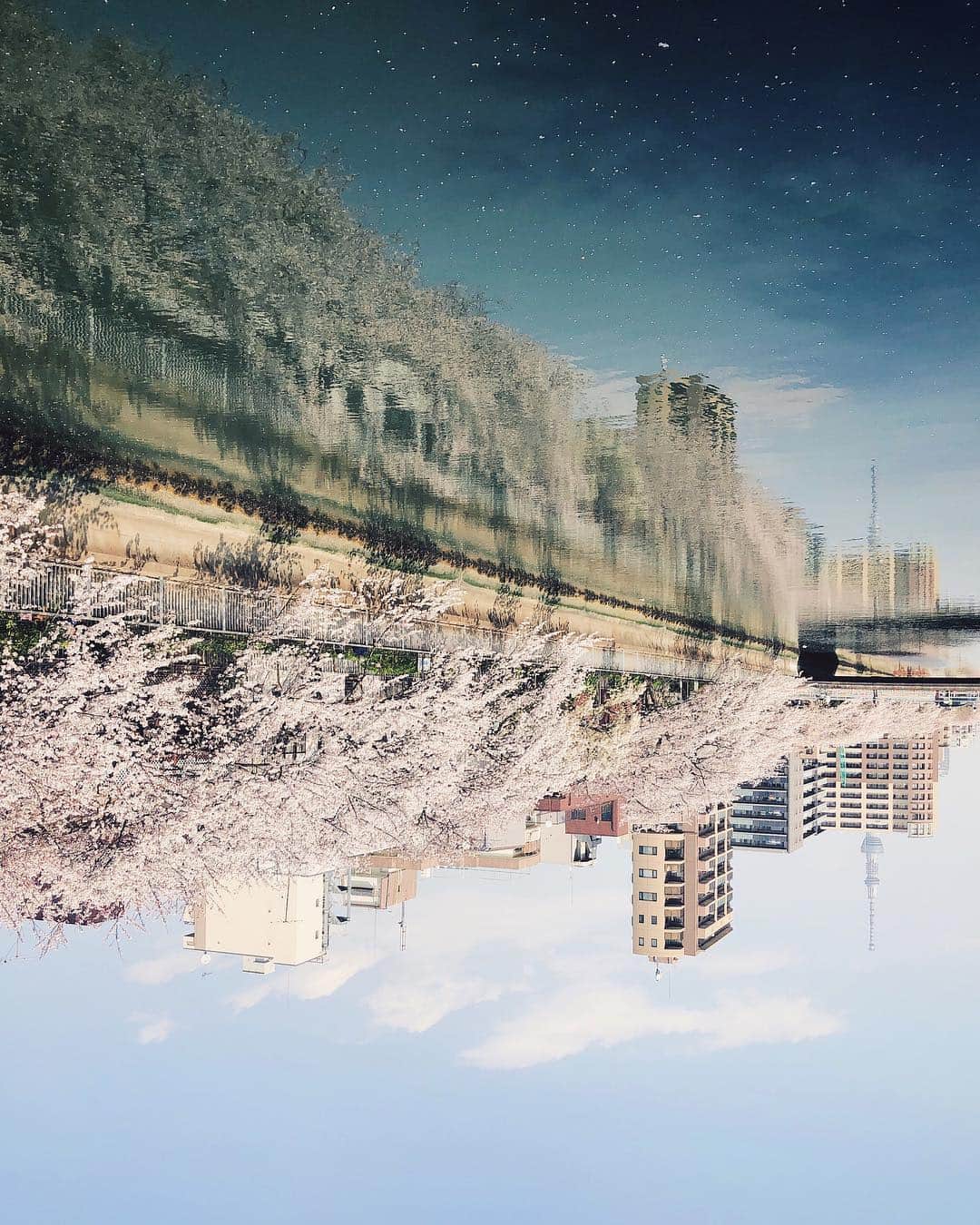 ima_ju / Jun Iのインスタグラム：「. . Flip Bloom . . ::」