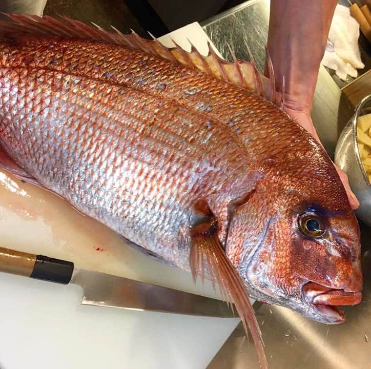 寿司居酒屋 番屋のグルメインスタ