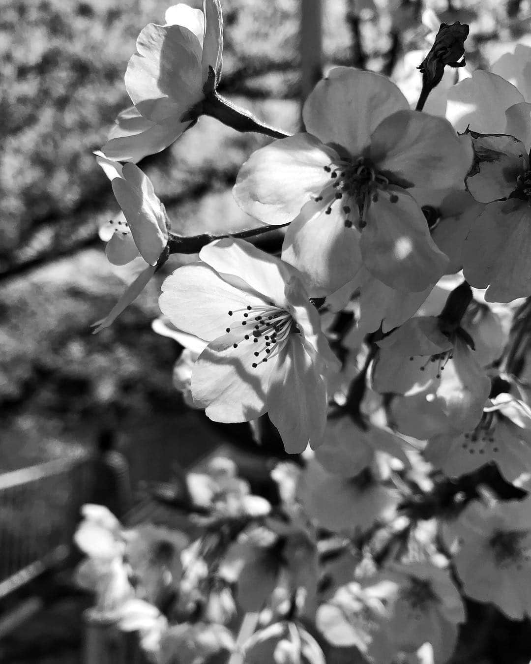 Jamioのグルメインスタ