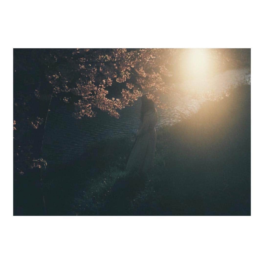bambiflexのインスタグラム：「#film #filmisnotdead #film_com #igersjp #igersjapan #instagramjapan #instagood #instalike #ig_japan #vscocam #vscofilm #japan #フィルム」