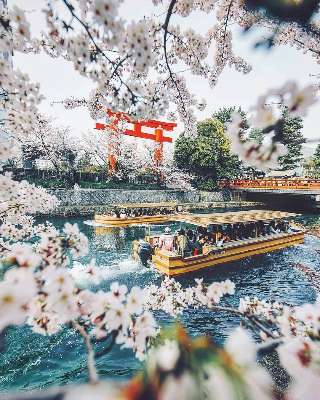 Berlin Tokyoさんのインスタグラム写真 - (Berlin TokyoInstagram)「⛩️ Sakura cruise. . . . 📍#kyoto , #japan . . #whpvibes @instagram」4月14日 22時23分 - tokio_kid