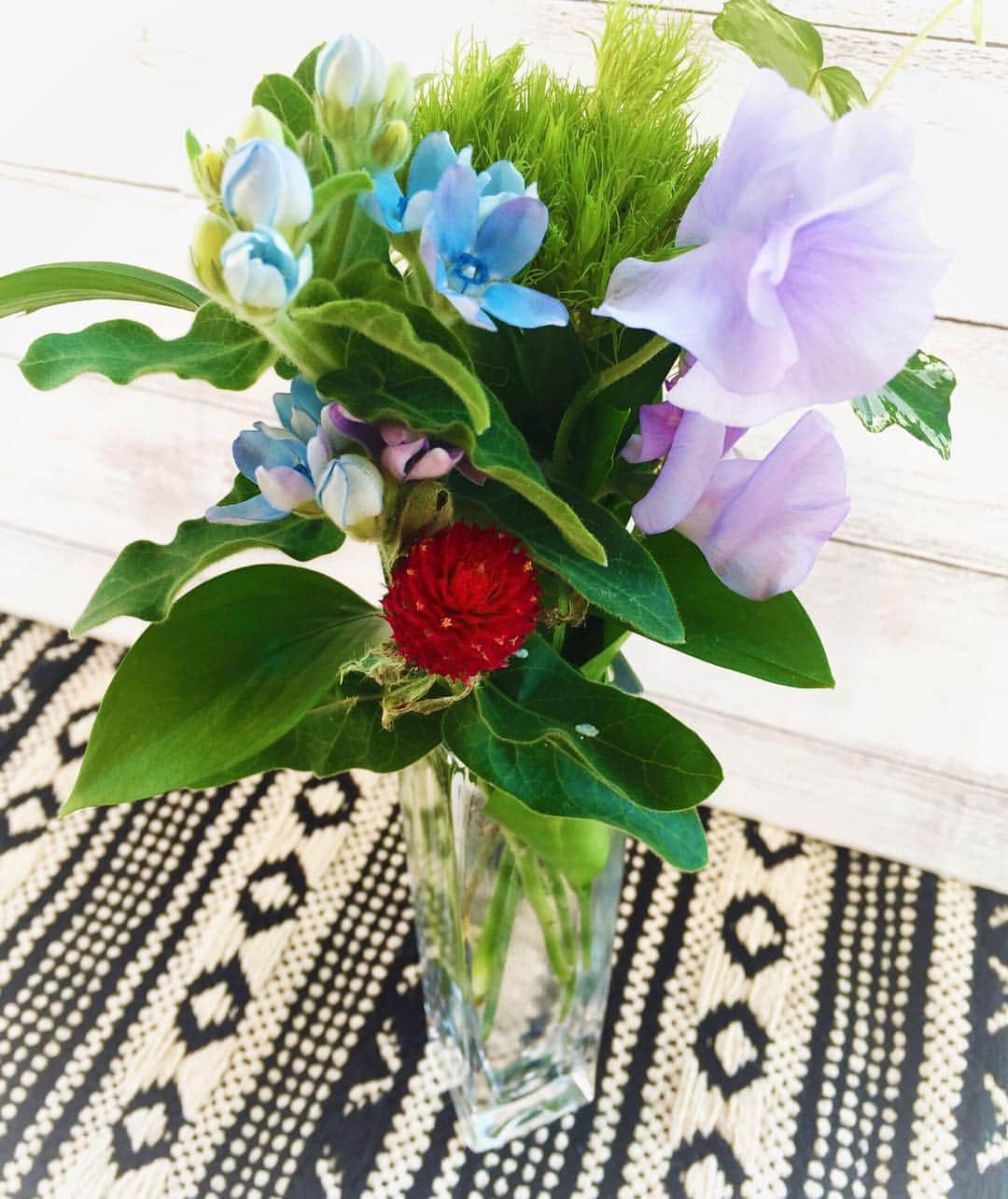 miho.a.nicoさんのインスタグラム写真 - (miho.a.nicoInstagram)「お花のある暮らし💐 ・ ・ 「Bloomee LIFE」@bloomeelife さんでは定期的にポストにお花を届けてくれるから手軽にお花のある暮らしが楽しめます😆✨ ・ 今回は水色と紫のお花が入っていて、どっちの色も大好きな娘っ子がめっちゃ喜んでおりました😆💕 ・ ・ フォロワー様にお使い頂けるクーポンコードを発行して頂きました❣️ なんと初回無料でお花が届きます💐 いよいよクーポンが今月いっぱいまでなのでこの機会に是非試してみて下さいね😆✨ ・ ⭐️クーポンコード：miho ⭐️有効期限：2019年4月30日まで ・ ・ ・ #bloomeelife #お花のある暮らし #お花 #フラワー #お花の定期便  #お花のある生活  #flower」4月14日 22時33分 - miho.a.nico