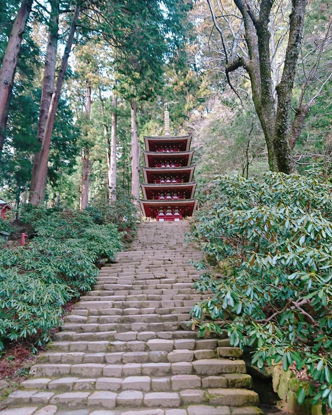 中島亜梨沙さんのインスタグラム写真 - (中島亜梨沙Instagram)「奈良の室生寺 手のり五重塔✋  屋外に立つ五重塔としては日本で一番小さいのだとか  ３枚目はちょうどスタッフさんも乗っております…お、重い(笑)  #jr東海 #うましうるわし奈良  #室生寺」4月14日 22時41分 - arisa_nakajima_desu