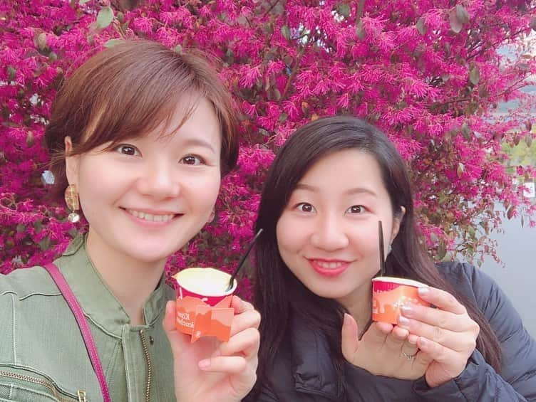 桜帆ゆかりさんのインスタグラム写真 - (桜帆ゆかりInstagram)「別府温泉と由布院めぐり🥰❤️大分の方、皆さん優しかったなぁ😌✨ . . . 安定のまえちゃんとの旅行は楽しすぎて💕 食べて寝て笑って食べてドライブして、お花見も出来て大満足🙆‍♀️🙆‍♀️🙆‍♀️ . . . 次はもっとあったかいところかなぁー笑笑 ♨️ ♨️ ♨️ #安定のまえちゃん  と #大分旅行  #別府温泉  #由布院  #いつものゆるーい感じで  #食べすぎる旅  #桜が咲いてて  #お花もたくさん  #親切にして頂いて  #ありがとうございます🙏  #国内旅行  #日本ちょっとずつ旅行したい」4月14日 22時35分 - chahoroo93