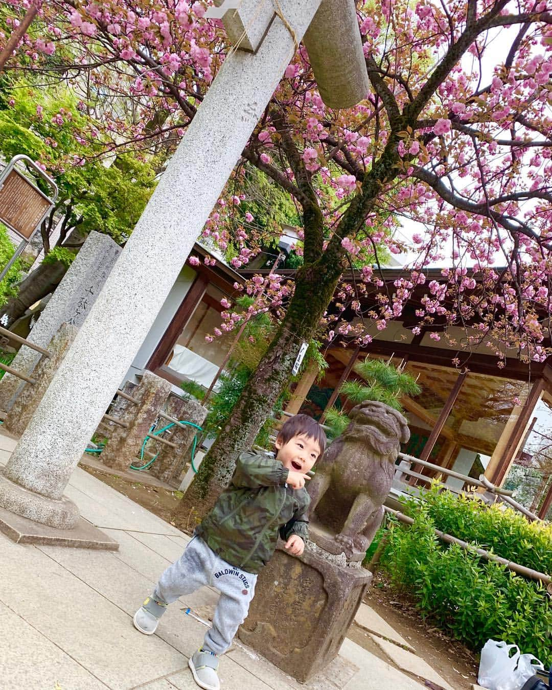 桜井未来さんのインスタグラム写真 - (桜井未来Instagram)「近くの神社⛩へ😊 狛犬をワンワンと呼んで、撫で撫でしておりました😂（笑） ・ ・ ・ #神社 #狛犬 #お参り #インスタ映え #フォトスポット #可愛い #綺麗 #お出かけ #ママ #baby #ママ友募集 #赤ちゃんのいる生活 #ママサークル #ママイベント #ママ会 #都内ママ #ベビスタグラム #mamagirl #ベビフル #コドモダカラ #コドモノ #ママリ #親バカ部 #新米ママ東京部」4月14日 22時38分 - miki.sakurai0214