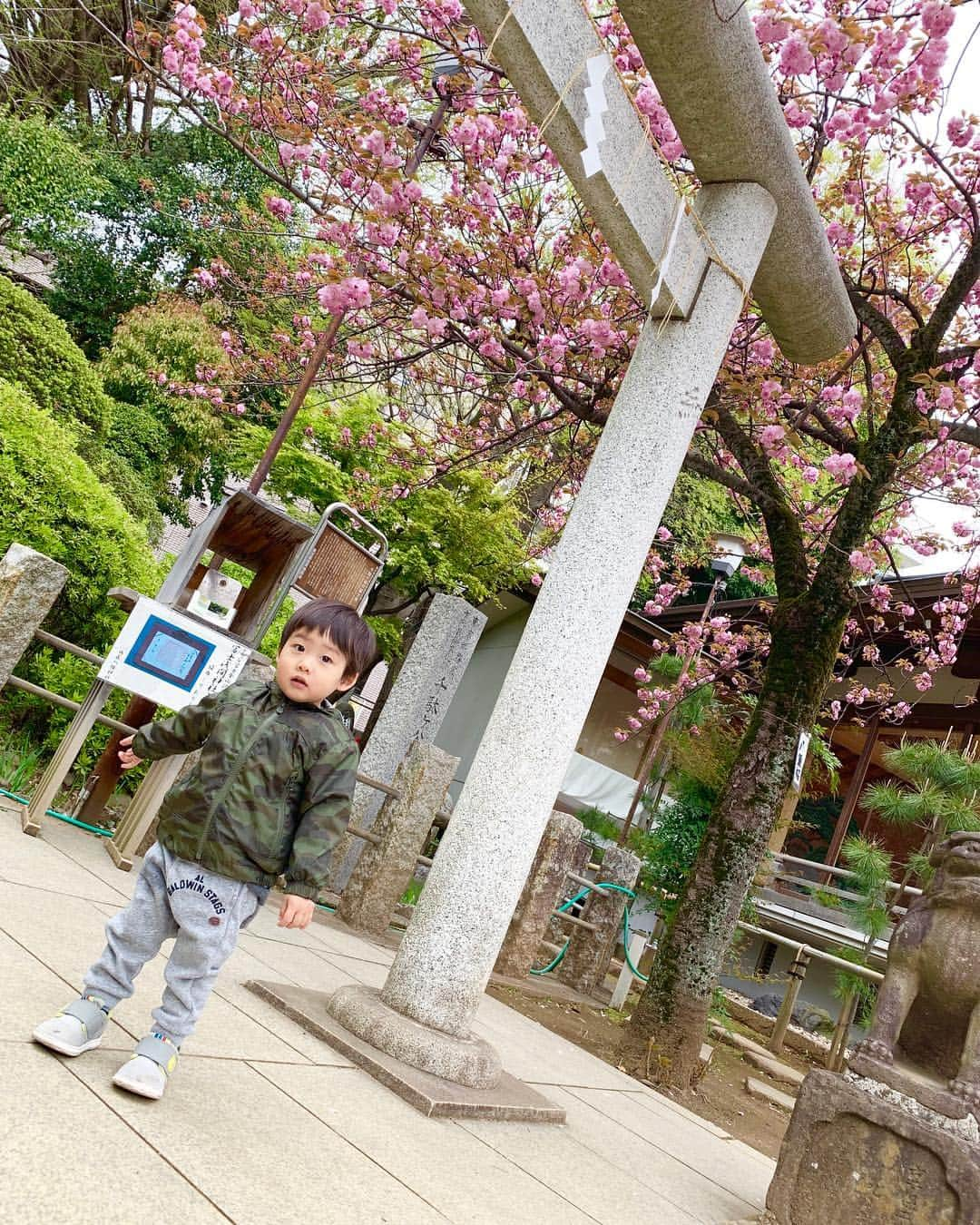 桜井未来さんのインスタグラム写真 - (桜井未来Instagram)「近くの神社⛩へ😊 狛犬をワンワンと呼んで、撫で撫でしておりました😂（笑） ・ ・ ・ #神社 #狛犬 #お参り #インスタ映え #フォトスポット #可愛い #綺麗 #お出かけ #ママ #baby #ママ友募集 #赤ちゃんのいる生活 #ママサークル #ママイベント #ママ会 #都内ママ #ベビスタグラム #mamagirl #ベビフル #コドモダカラ #コドモノ #ママリ #親バカ部 #新米ママ東京部」4月14日 22時38分 - miki.sakurai0214