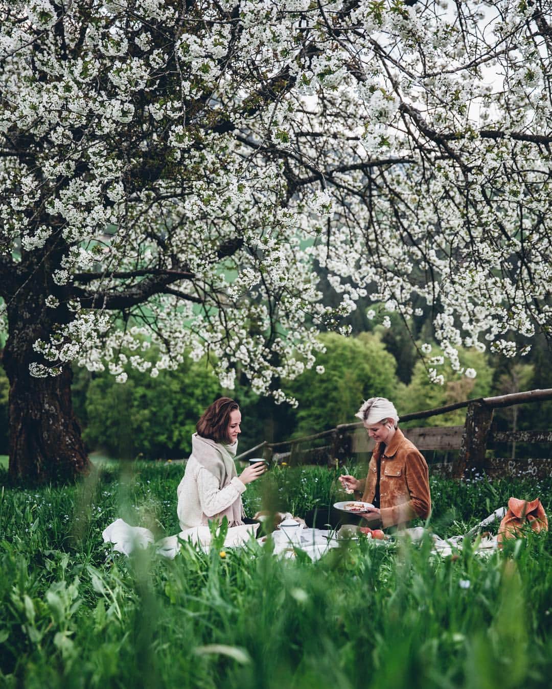 Linda Lomelinoのインスタグラム：「Can’t believe it’s been a whole year since this wonderful trip with my sweet friends @_foodstories_ and @evakosmasflores 💚 That tree was something else! And nobody got a tick from sitting in the tall grass 😂🌸」