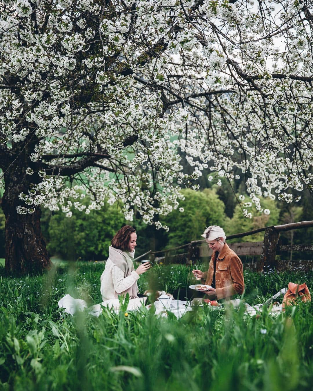 Linda Lomelinoさんのインスタグラム写真 - (Linda LomelinoInstagram)「Can’t believe it’s been a whole year since this wonderful trip with my sweet friends @_foodstories_ and @evakosmasflores 💚 That tree was something else! And nobody got a tick from sitting in the tall grass 😂🌸」4月14日 22時50分 - linda_lomelino