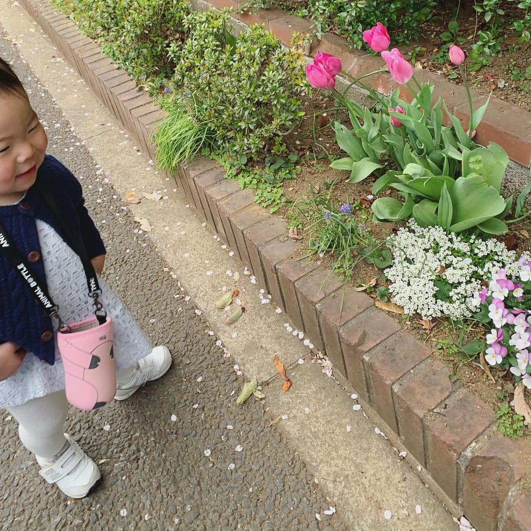 鈴木六夏さんのインスタグラム写真 - (鈴木六夏Instagram)「葉っぱを見ると、はっぱぁ お花を見ると、おっおー！と指差すように(^^)♡ ほっぺとほっぺをくっつけて ギューッ👩🏻💖👶🏻ってゆうのもやってくれるように(*≧∀≦*)」4月14日 22時46分 - rikuka.62