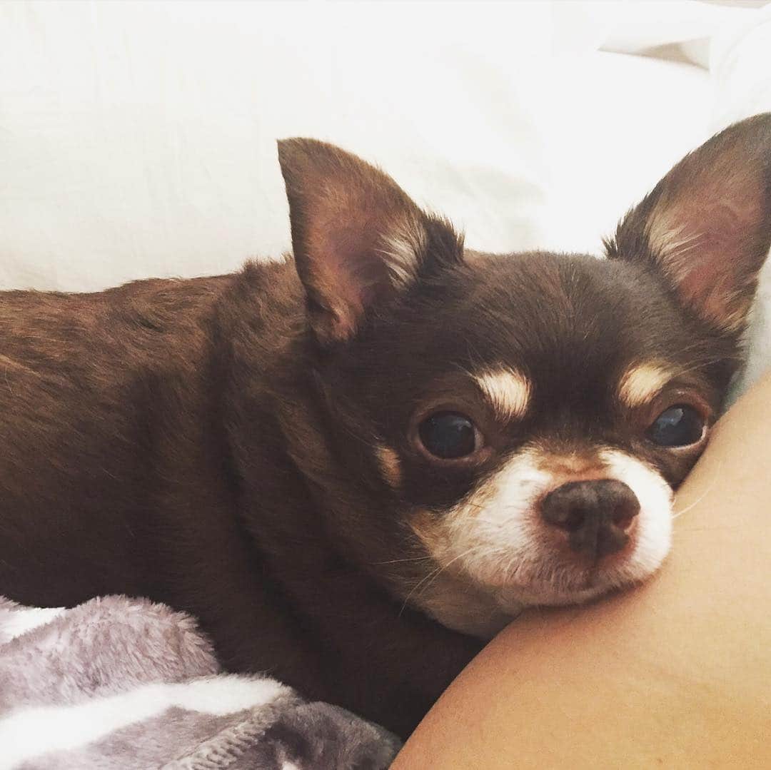 レイシー・シャベールさんのインスタグラム写真 (レイシー・シャベールInstagram)「How fortunate am I that