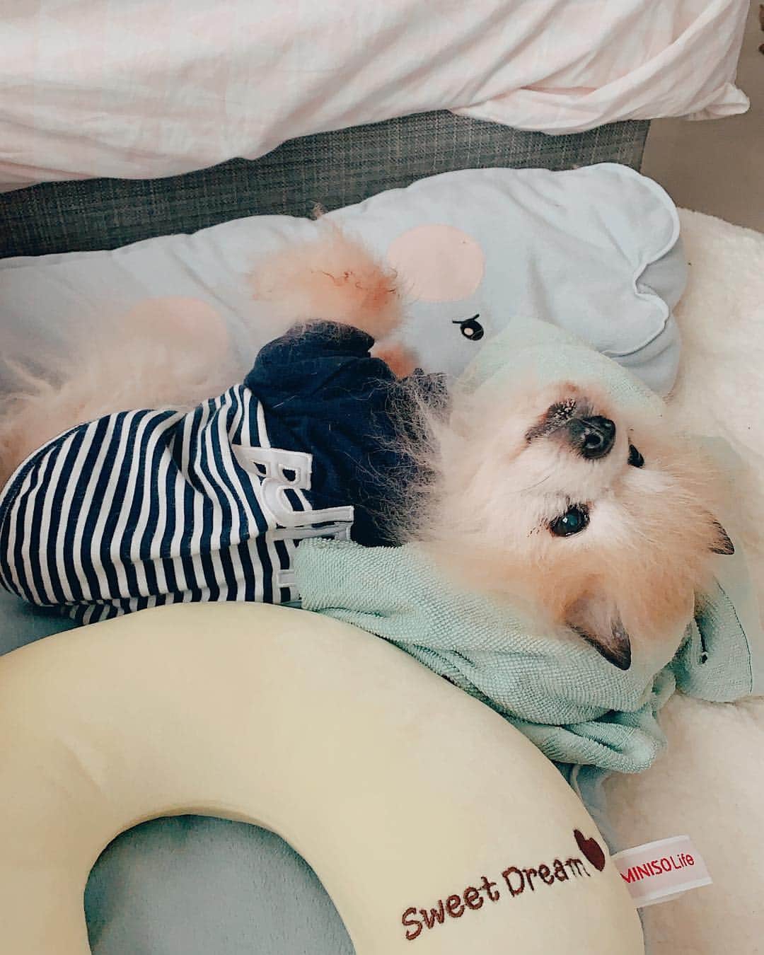 r_oseのインスタグラム：「Sweet dream🐰〰️」