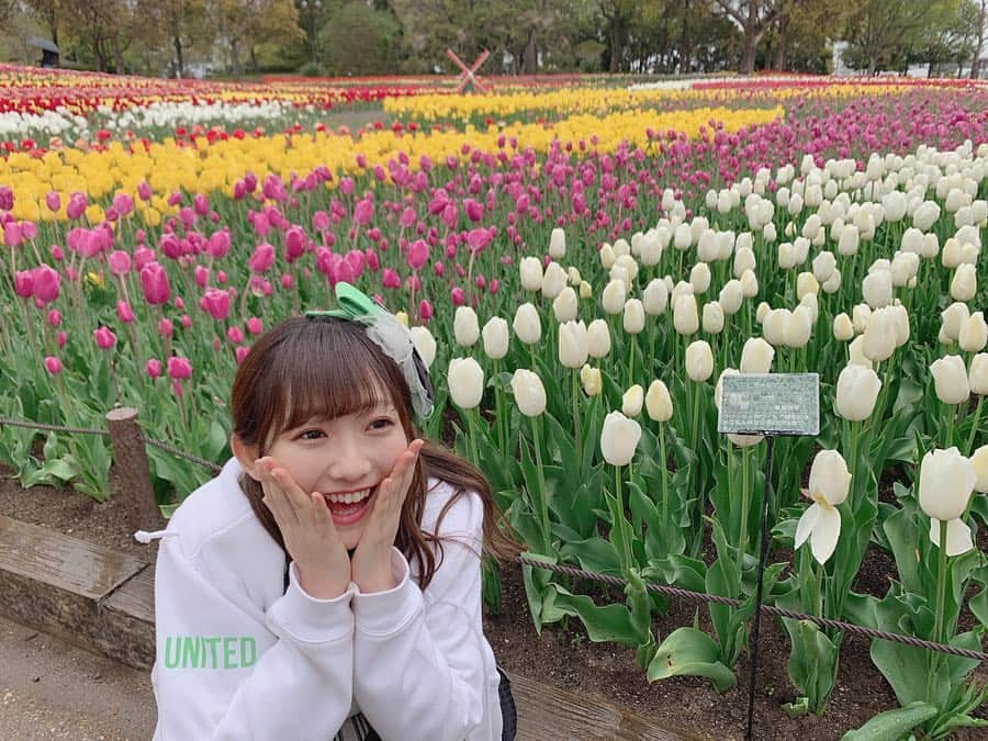 夏川愛実のインスタグラム：「ㅤㅤㅤㅤㅤㅤㅤㅤㅤㅤㅤㅤㅤ ㅤㅤㅤㅤㅤㅤㅤㅤㅤㅤㅤㅤㅤ  綺麗だった〜🌷 雨に打たれながら撮りました。 伝わらない☔️ ㅤㅤㅤㅤㅤㅤㅤㅤㅤㅤㅤ ㅤㅤㅤㅤㅤㅤㅤㅤㅤㅤㅤ #木曽三川公園#チューリップ畑 ㅤㅤㅤㅤㅤㅤㅤㅤㅤㅤㅤ」