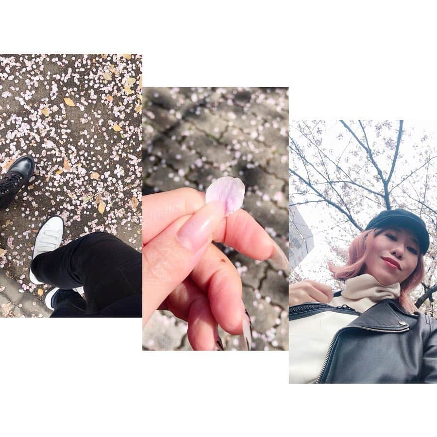 Mayu Ogawaさんのインスタグラム写真 - (Mayu OgawaInstagram)「🌸2019桜の思い出 🌸 無茶庵さん  @ 文京椿山荘  水琴窟の音が美しすぎて。 一瞬でも時間を忘れることができたな。  2019 memories of cherry blossoms. i got a nice & beautiful feeling. so..what a beautiful cherry  blossoms !!! thank you god.  #椿山荘 #無茶庵 #庭園 #お蕎麦 #桜 #さくら #新緑 #お散歩 #お花見 #水琴窟 #ゆっくりな時間はあっという間 #リフレッシュ #cherryblossom #refresh #relax #garden #beautiful #mda #mdanail #mayu  #dayoff」4月14日 23時47分 - m_d_a