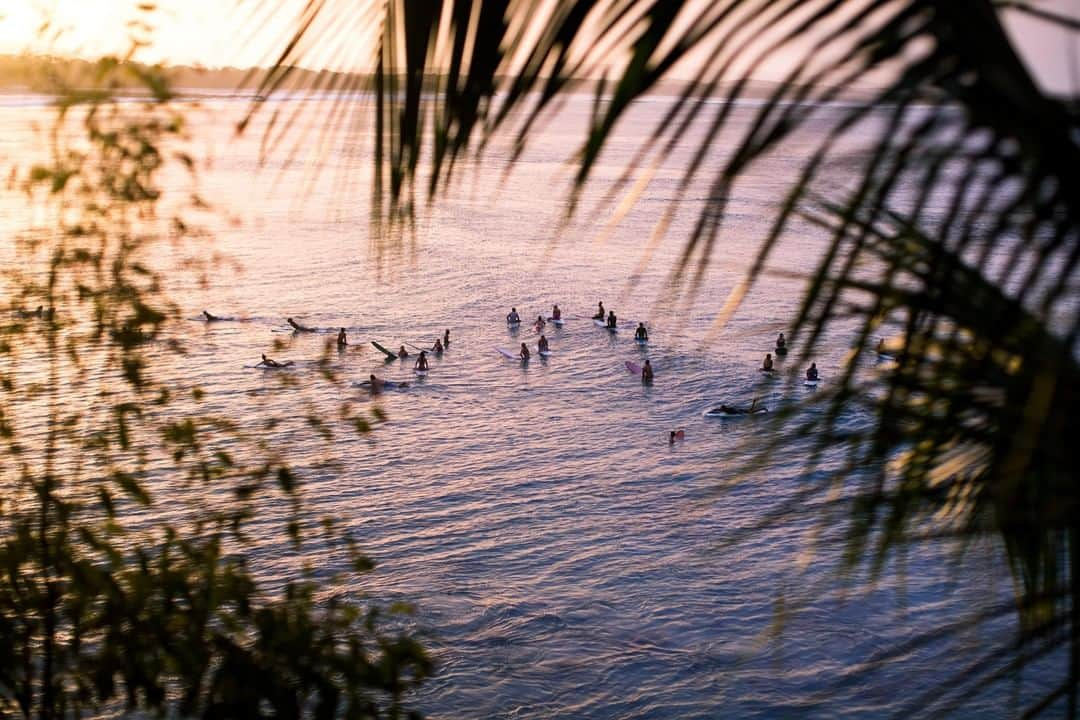 ロキシーさんのインスタグラム写真 - (ロキシーInstagram)「Golden hour in #Noosa」4月15日 0時00分 - roxy