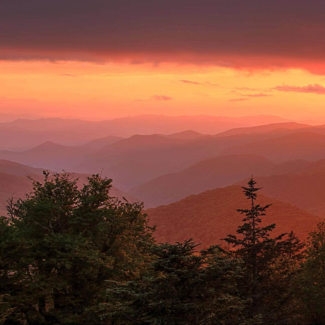 アメリカ内務省さんのインスタグラム写真 - (アメリカ内務省Instagram)「Stretching almost 500 miles along the crest of the Appalachian mountains through #NorthCarolina and Virginia, the #BlueRidgeParkway is the longest road planned as a single unit in the United States. Stretching far off its shoulders, the park protects a continuous series of panoramic views, excellent habitat for plants and wildlife, and encompasses some of the oldest settlements of both Native Americans and early European settlement. Those are just a few reasons why it’s known as one of the best drives in the world. Photo @BlueRidgeNPS by Norman Lathrop (www.sharetheexperience.org). #travel #FindYourPark #usinterior」4月15日 0時02分 - usinterior