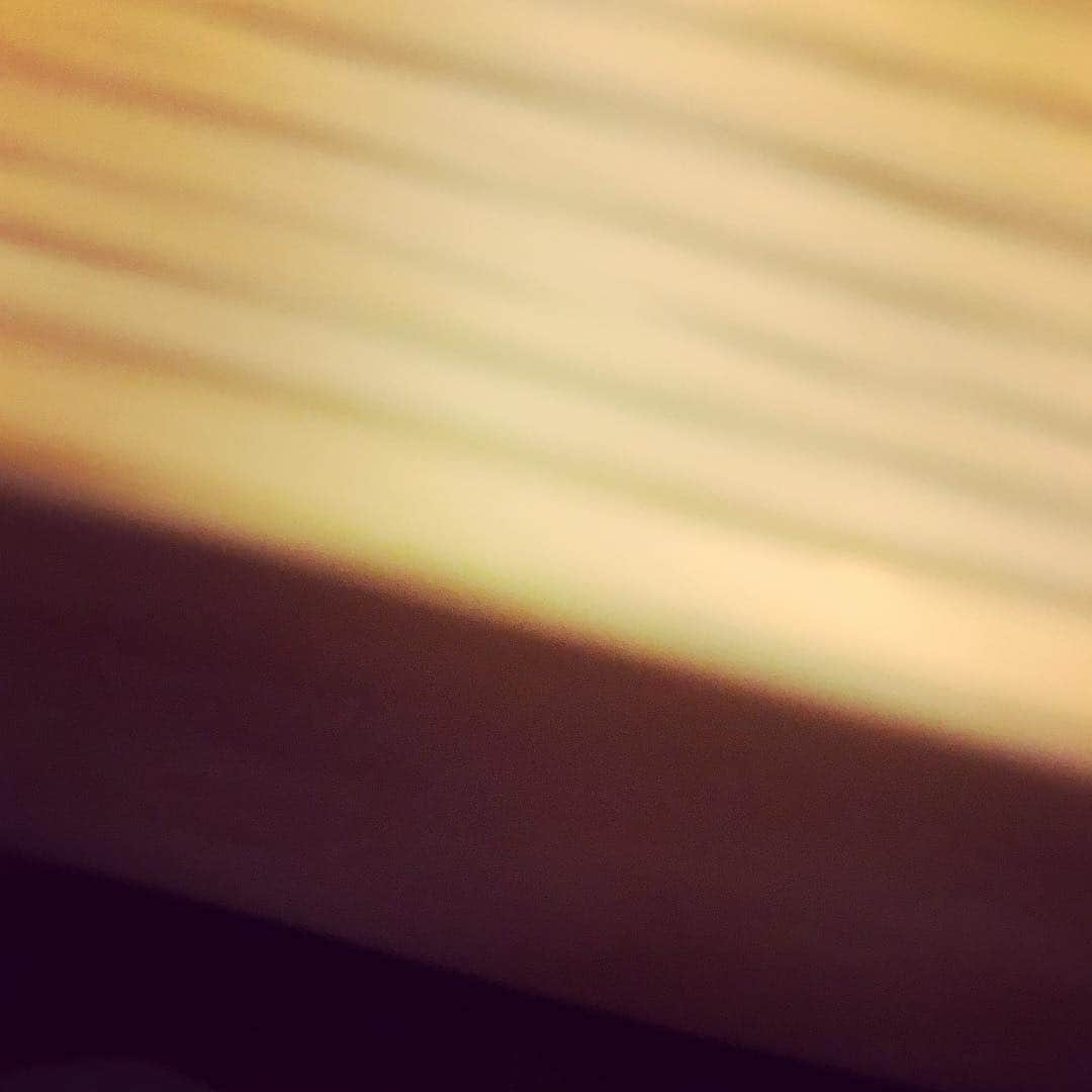 朝倉真司さんのインスタグラム写真 - (朝倉真司Instagram)「大切なことだからこそ、それにしがみつくのではなく、手放すこと。 毎回新しく始めるつもり、ではなく実際に（同じことを）新しくやること。 いつか絶対に達成したい、そのためにずっとやっているような何か、 とは別のことを目標にしたらあっさり手に入るその何か。 そしてその代わりに当然失うだろうと思っていた何か。  苦しいと思ったら息を吐いていなかった、吸うことに集中していたから。 腰が痛いといったら足首をマッサージされた。 いそがばまわるような卑近なこと。 高く飛びたいなら、多分しっかりしゃがまなければならない。 ちゃんとしゃがめてなかった時代ならまだしも、 それに気づいてしまったあとに しゃがまずにちゃんとジャンプなんて出来ない とも思わずに生きていけるのかどうか。  無数のノイズといくつもの逆説。 気にしないようにすることが目的なら、それはきっと全てを気にすることになる。 集中することはきっと言葉に出来ないような何か、シンプルなひとつだけのこと。  それはきっと全く考えもしないような 思わぬところにある。」4月15日 1時02分 - asacses