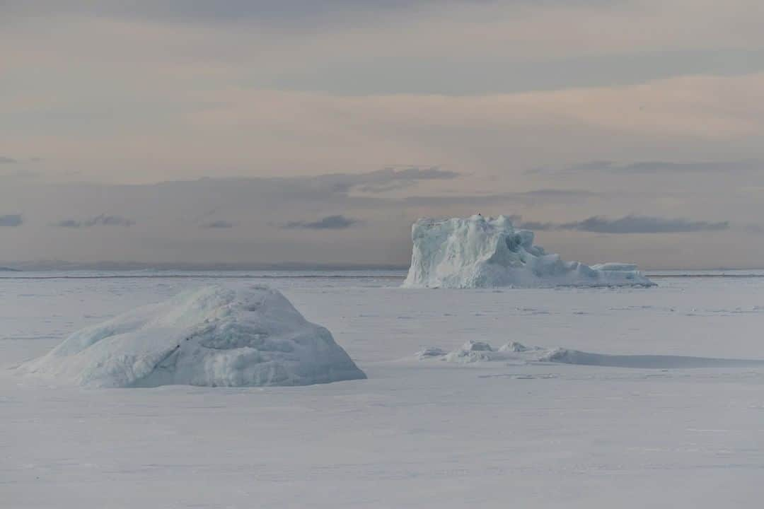 National Geographic Travelさんのインスタグラム写真 - (National Geographic TravelInstagram)「Photo by @paoloverzone | View of the frozen sea in front Qeqertarsuaq (Disko) island in Greenland. Qeqertarsuaq is the only town on Disko Island, 100 km west of Ilulissat. It means “the big island”, it was founded in 1773 and has approximately 860 residents plus another 35 in Kangerluk, the island’s only village. Qeqertarsuaq houses the Arctic Station, the oldest continuously manned station in the Arctic. Hunting and fishing are the main activities. @thephotosociety #arctic #Qeqertarsuaq #iceberg #greenland  #climatechange  Follow @paoloverzone for more photos and stories」4月15日 1時02分 - natgeotravel