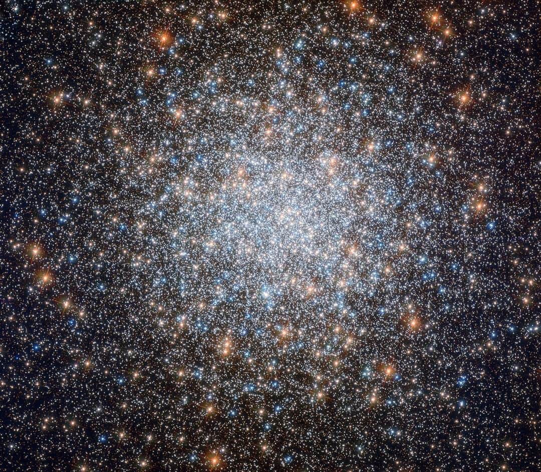 NASAさんのインスタグラム写真 - (NASAInstagram)「Coating the night sky like sprinkles on an ice cream scoop, this globular cluster contains an incredible half-million stars! This 8-billion-year-old cosmic bauble called Messier 3 is one of the largest and brightest globular clusters ever discovered, seen here in a @NASAHubble image. What makes Messier 3 extra special is its unusually large population of variable stars — stars that fluctuate in brightness over time. New variable stars continue to be discovered in this sparkling stellar nest to this day, but so far, we know of 274, the highest number found in any globular cluster by far.  Image credit: ESA/Hubble & NASA, G. Piotto et al.  #Hubble #Stars #Sprinkles #NASA」4月15日 1時05分 - nasa