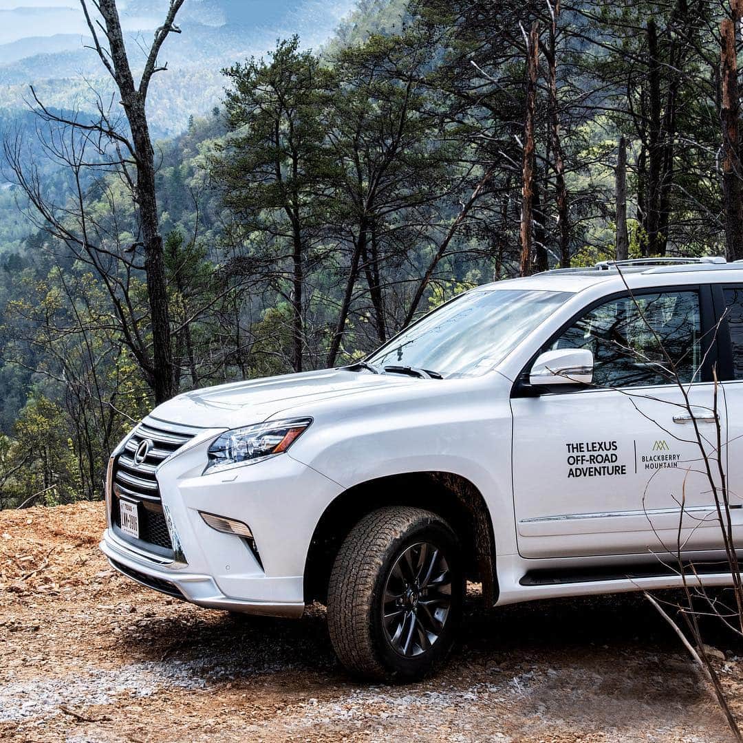 Lexus USAのインスタグラム：「A first-class adventure deserves a first-class meal. What an incredible weekend navigating the Great Smoky Mountains with our hotel partner @blackberry.mountain #DrivingAmazing #LexusDestinations #LexusGX #LexusLC」