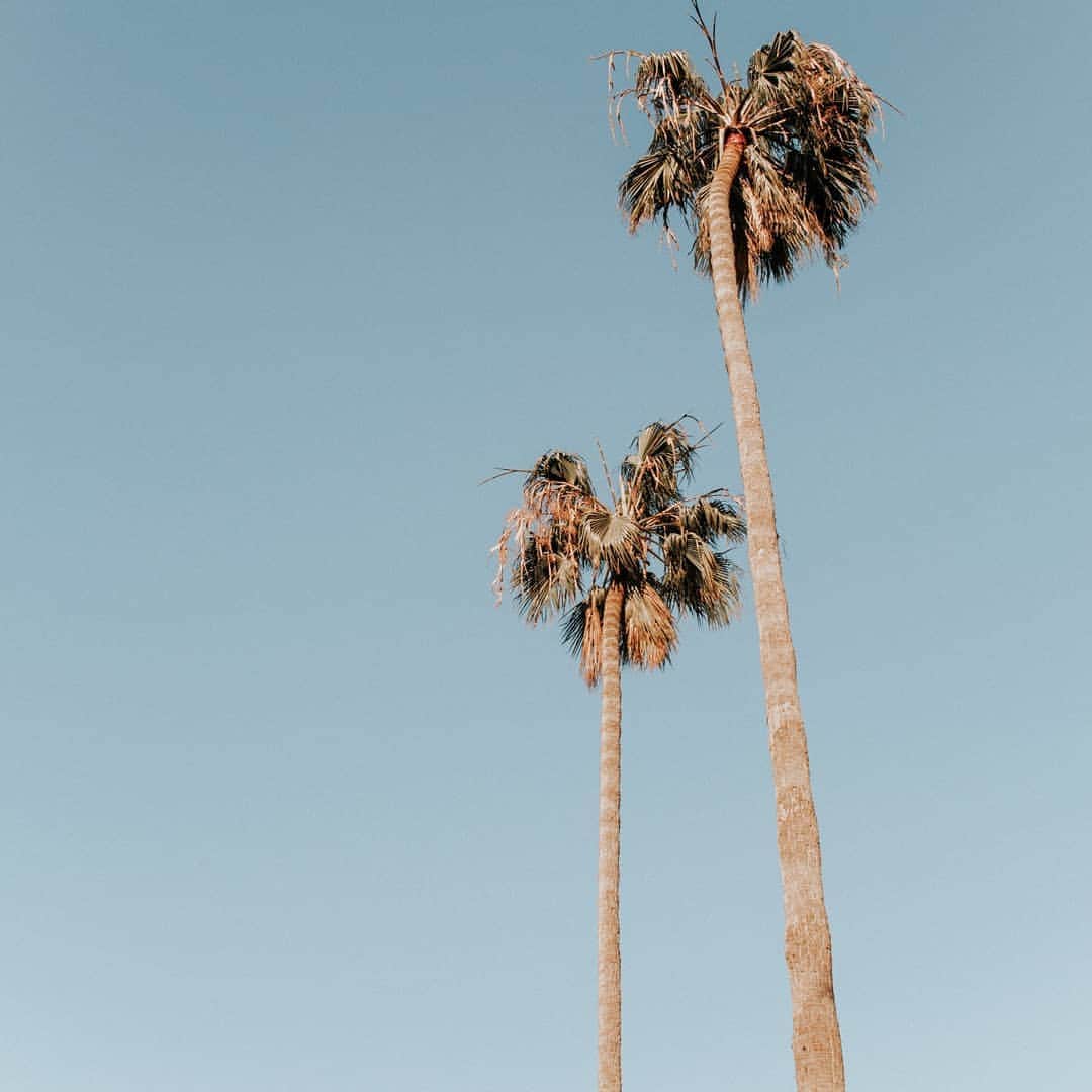 のインスタグラム：「Day dreaming of palm trees and blue L.A skies...🌴🎡💭 Shopping the holiday edit? Tap the link in the bio to get 20% off now with the code SAVE20. *Offer ends midnight tonight. Terms & conditions apply. #Accessorize #LA #LosAngeles #Festival #Wanderlust」