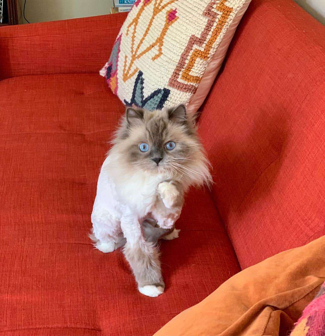 Tinaのインスタグラム：「Naked and Gorgeous 😻#SundayFunday」