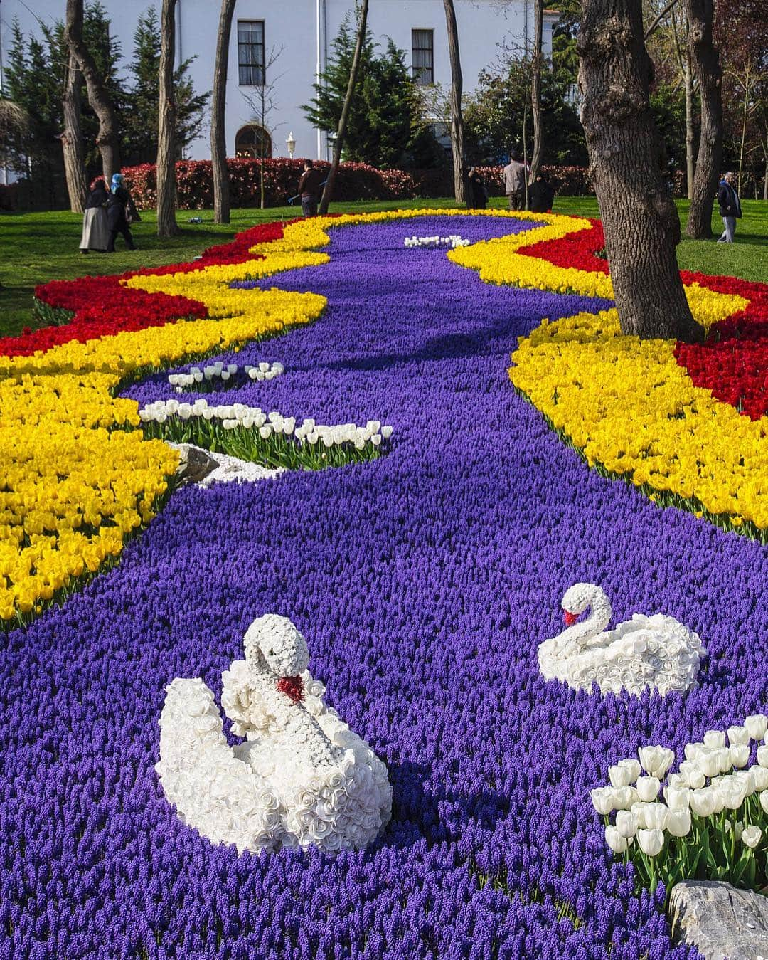 Hatice Korkmaz The Color Queenのインスタグラム：「İstanbul tulip fest 🌷☘️💛 #istanbul #turkey #love #nature #tulip #emirgan #spring」