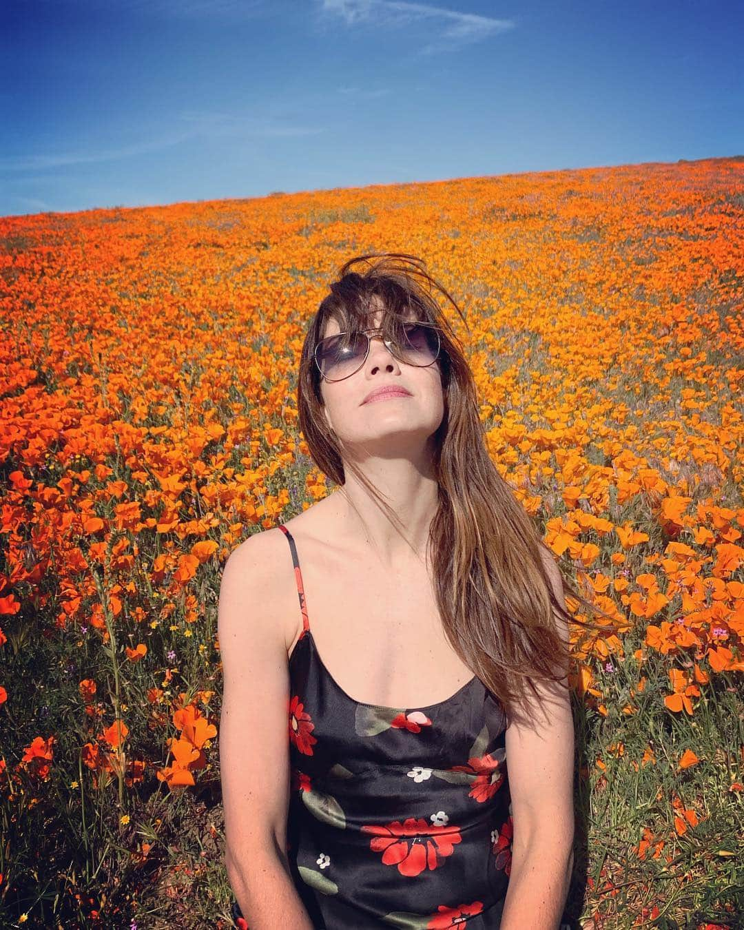 ミシェル・モナハンさんのインスタグラム写真 - (ミシェル・モナハンInstagram)「PopStar 💥 #superbloom #iheartcali #poppy」4月15日 2時35分 - michellemonaghan