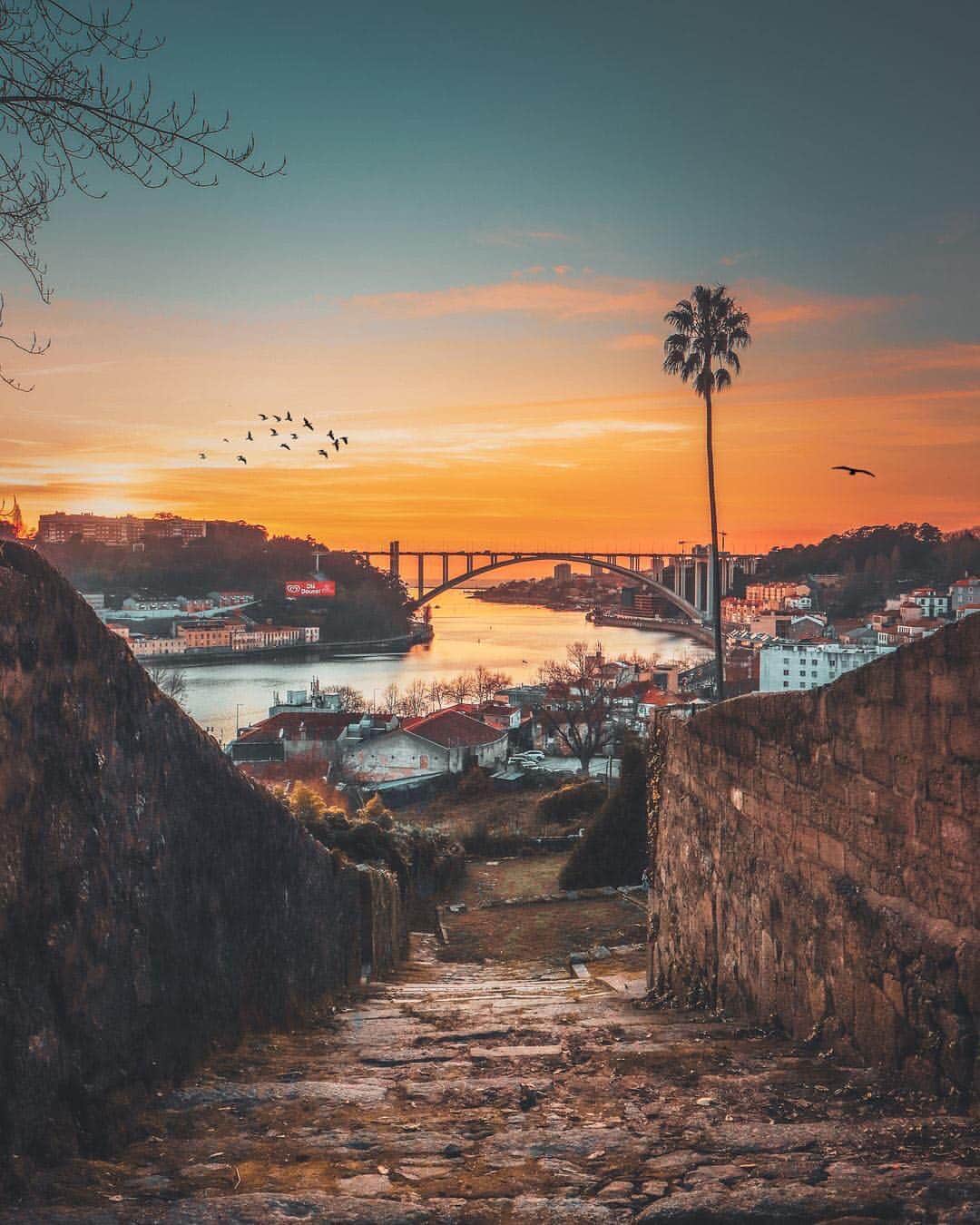 オリベル・トーレスさんのインスタグラム写真 - (オリベル・トーレスInstagram)「Encontrei esta foto na internet e mesmo que tenha algum filtro, Porto é maravilhoso.」4月15日 3時09分 - olitorres10