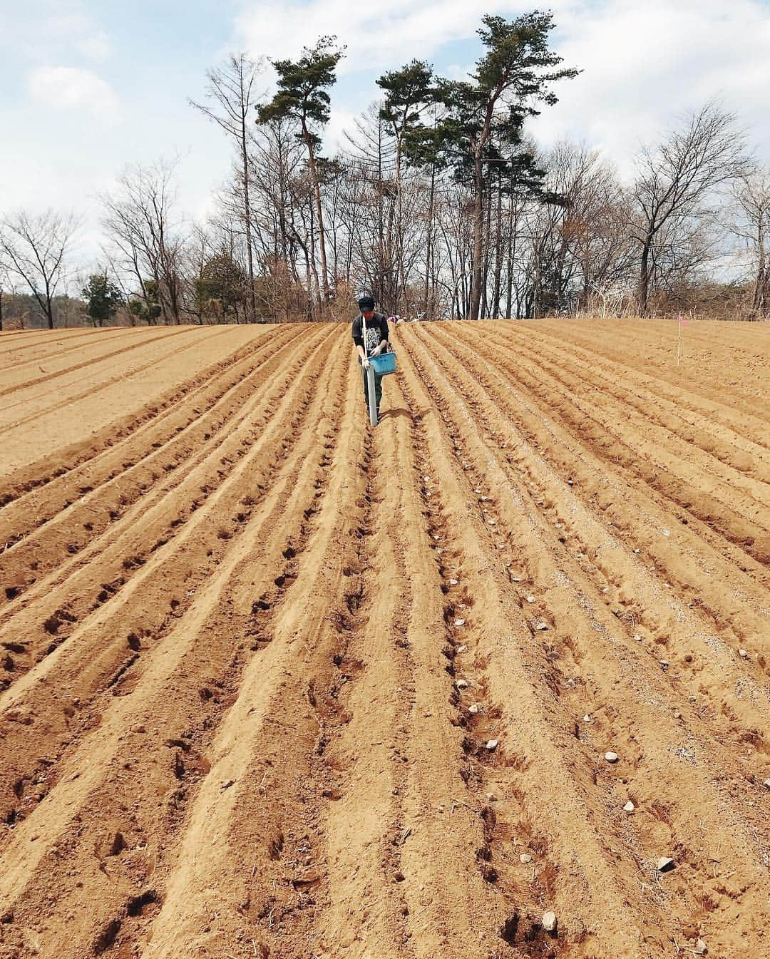 KEINA HIGASHIDEさんのインスタグラム写真 - (KEINA HIGASHIDEInstagram)「週末は長野で芋まきお手伝い。 美味しいじゃが芋に育ってね。  #長野﻿﻿﻿﻿ #東京と長野で二拠点生活 #芋まき #じゃがいも」4月15日 13時41分 - keina_higashide