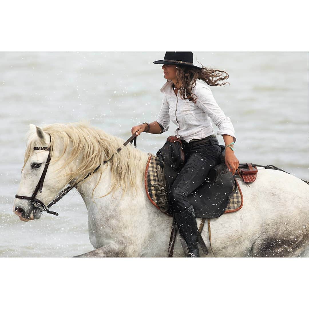 テレビ朝日「世界の街道をゆく」さんのインスタグラム写真 - (テレビ朝日「世界の街道をゆく」Instagram)「カマルグ。ローヌ川の流れと、地中海の潮の満ち引きと風が造り上げた大湿原にやって来ました。 ここは、野生馬と漁師の少年との美しい絆を描いた映画『白い馬』で知られる土地です。脚本のドーナンさんの息子、フローリアンさんを訪ねました。 「カマルグの素晴らしさを知るには、馬で出かけなくては」と、ガルディアンと呼ばれる牧童の女性を紹介してくれました。この白い馬は、旧石器時代後期の血統を受け継ぐと伝えられ、この地特有の種だといいます。 ガルディアンの手綱捌き。湿原と馬と人、そして風が一体となっています。湿原を駆け回る姿を見ていると、映画に込められた思いが判るような気がします。 フローリアンさんが「父はこの映画にカマルグに生きる人々の魂を託したのだ」と語り、その想いを風化させないために、今、続編を製作中だと目を輝かせます。 夕暮れ時、淡い光がカマルグの大自然に陰影を描き出します。湿原を渡る風に鬣をなびかせ、白い馬がじっと佇んでいました。  #世界の街道をゆく #キヤノン #テレビ朝日 #坂東巳之助 #canon #光と風薫る街道 #フランス #france #républiquefrançaise #カマルグ #camargue」4月15日 13時34分 - tvasahi_kaidou