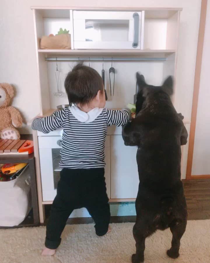 木村まこのインスタグラム