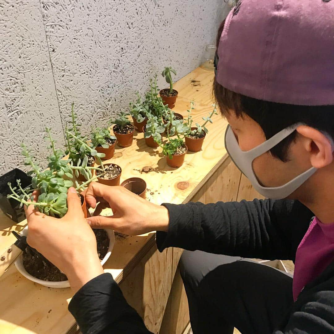 いいオフィスさんのインスタグラム写真 - (いいオフィスInstagram)「植物の植え替え！ 今日は朝から忙しいなあ！ 働くのは、忙しいなあ！  #LIG #いいオフィス #上野 #植物 #植物男子 #インスタ映え #マスク #plants #green #コワーキングスペース #シェアオフィス」4月15日 13時43分 - e_office_ueno