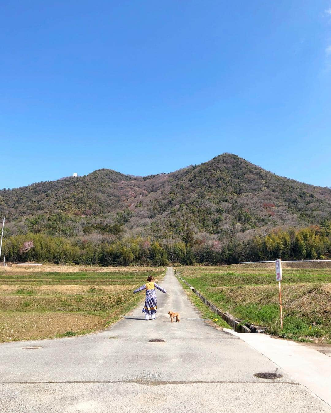 近藤夏子さんのインスタグラム写真 - (近藤夏子Instagram)「天気がいいとお出かけしたくなるぅ🌞✨ したくなるだけで実際にはしないけど。笑 ピクニックとかしたくなるぅ⛺️ したくなるだけで実際には絶対しないけど。笑 #矛盾 #めんどくさがり #インドア #晴れ #眠くなる #春」4月15日 13時57分 - kondonatsuko