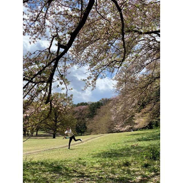 加藤紀子のインスタグラム：「桜の花びらがあまりにも美しく舞うので捕まえようとする姿が こんなにも滑稽だなんて😭 踊らされ感🤦‍♀️💨 （そして一枚も手に出来ず）  サラダとbaguette rabbitのプールと（焼き立て直後のモッチモチハンパなかった）、紅茶でまったり。  #平成最後のお花見にて」