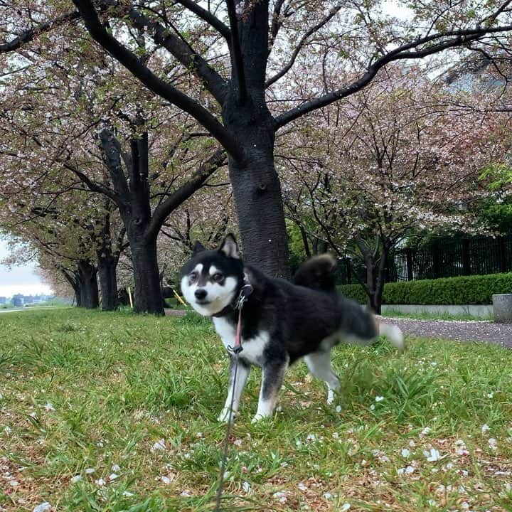 くろのインスタグラム