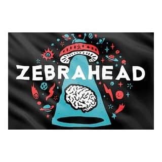 Zebraheadさんのインスタグラム写真 - (ZebraheadInstagram)「We have Brain Invaders flags for sale! You can wave them at shows or wear them as a cape or hang them outside your house. Whatever you wanna do with them. Here's the link https://zebrahead.myshopify.com/ #Zebrahead #braininvaders #flag #cape」4月15日 6時34分 - zebraheadofficial